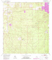 Download a high-resolution, GPS-compatible USGS topo map for Lecanto, FL (1954 edition)