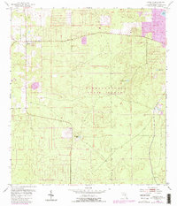 Download a high-resolution, GPS-compatible USGS topo map for Lecanto, FL (1988 edition)