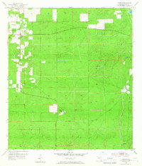 Download a high-resolution, GPS-compatible USGS topo map for Lecanto, FL (1966 edition)