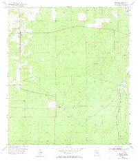 Download a high-resolution, GPS-compatible USGS topo map for Lecanto, FL (1973 edition)