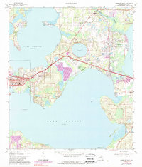 Download a high-resolution, GPS-compatible USGS topo map for Leesburg East, FL (1989 edition)
