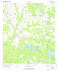 Download a high-resolution, GPS-compatible USGS topo map for Liberty, FL (1976 edition)