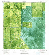 Download a high-resolution, GPS-compatible USGS topo map for Little Cypress Swamp, FL (1993 edition)
