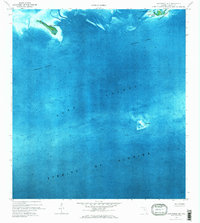 Download a high-resolution, GPS-compatible USGS topo map for Loggerhead Key, FL (1973 edition)