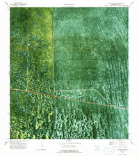 Download a high-resolution, GPS-compatible USGS topo map for Lone Palm Head, FL (1993 edition)