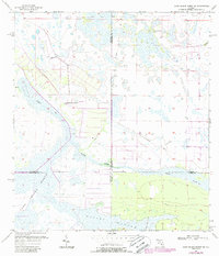 Download a high-resolution, GPS-compatible USGS topo map for Long Island Marsh SE, FL (1987 edition)