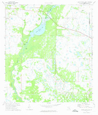 Download a high-resolution, GPS-compatible USGS topo map for Lower Myakka Lake, FL (1974 edition)