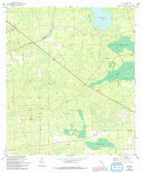 Download a high-resolution, GPS-compatible USGS topo map for Lulu, FL (1993 edition)