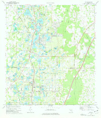 preview thumbnail of historical topo map of Lutz, FL in 1974