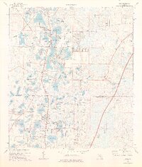 preview thumbnail of historical topo map of Lutz, FL in 1974