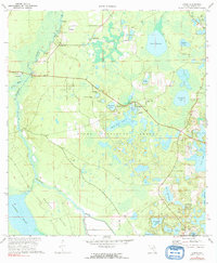 Download a high-resolution, GPS-compatible USGS topo map for Lynne, FL (1991 edition)