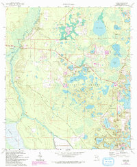 Download a high-resolution, GPS-compatible USGS topo map for Lynne, FL (1993 edition)