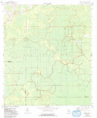 Download a high-resolution, GPS-compatible USGS topo map for Madison SW, FL (1993 edition)
