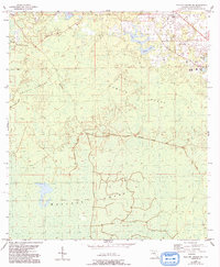 Download a high-resolution, GPS-compatible USGS topo map for Mallory Swamp NE, FL (1993 edition)