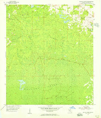 Download a high-resolution, GPS-compatible USGS topo map for Mallory Swamp NE, FL (1956 edition)