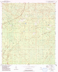 Download a high-resolution, GPS-compatible USGS topo map for Mallory Swamp NW, FL (1993 edition)