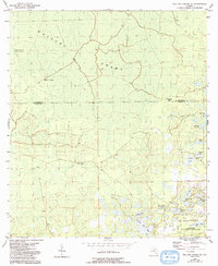 Download a high-resolution, GPS-compatible USGS topo map for Mallory Swamp SE, FL (1993 edition)