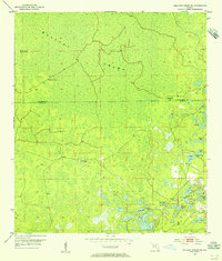 Download a high-resolution, GPS-compatible USGS topo map for Mallory Swamp SE, FL (1955 edition)
