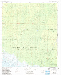 Download a high-resolution, GPS-compatible USGS topo map for Manlin Hammock, FL (1993 edition)