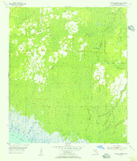 Download a high-resolution, GPS-compatible USGS topo map for Manlin Hammock, FL (1956 edition)