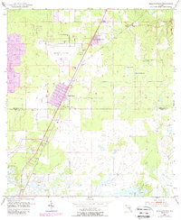 Download a high-resolution, GPS-compatible USGS topo map for Masaryktown, FL (1988 edition)