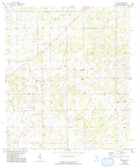 Download a high-resolution, GPS-compatible USGS topo map for Mayo NE, FL (1993 edition)