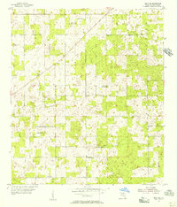 preview thumbnail of historical topo map of Suwannee County, FL in 1955