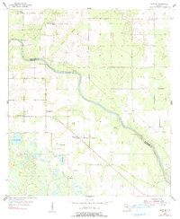 Download a high-resolution, GPS-compatible USGS topo map for Mayo SE, FL (1990 edition)