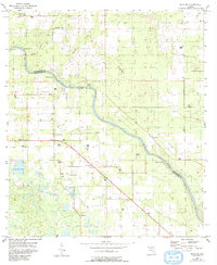 Download a high-resolution, GPS-compatible USGS topo map for Mayo%20SE, FL (1993 edition)