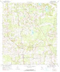 Download a high-resolution, GPS-compatible USGS topo map for McAlpin, FL (1990 edition)