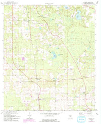 Download a high-resolution, GPS-compatible USGS topo map for McAlpin, FL (1993 edition)