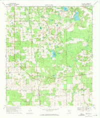 preview thumbnail of historical topo map of Suwannee County, FL in 1969