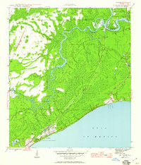 Download a high-resolution, GPS-compatible USGS topo map for McIntyre, FL (1960 edition)