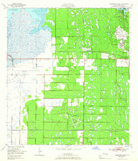 Download a high-resolution, GPS-compatible USGS topo map for Melbourne West, FL (1966 edition)