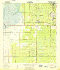 preview thumbnail of historical topo map of Brevard County, FL in 1951