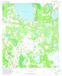 Download a high-resolution, GPS-compatible USGS topo map for Melrose, FL (1981 edition)