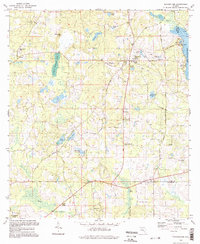 Download a high-resolution, GPS-compatible USGS topo map for Miccosukee, FL (1998 edition)