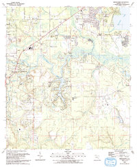 preview thumbnail of historical topo map of Middleburg, FL in 1993