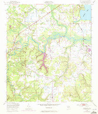historical topo map of Middleburg, FL in 1949