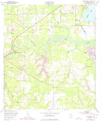 preview thumbnail of historical topo map of Middleburg, Clay County, FL in 1949