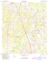 Download a high-resolution, GPS-compatible USGS topo map for Mikesville, FL (1993 edition)