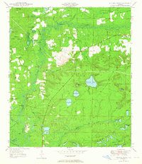 Download a high-resolution, GPS-compatible USGS topo map for Millers Ferry, FL (1965 edition)