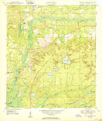 Download a high-resolution, GPS-compatible USGS topo map for Millers Ferry, FL (1950 edition)