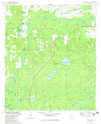 Download a high-resolution, GPS-compatible USGS topo map for Millers Ferry, FL (1983 edition)
