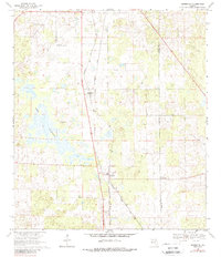 Download a high-resolution, GPS-compatible USGS topo map for Morriston, FL (1988 edition)