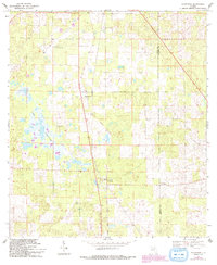 Download a high-resolution, GPS-compatible USGS topo map for Morriston, FL (1993 edition)