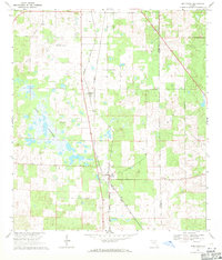 Download a high-resolution, GPS-compatible USGS topo map for Morriston, FL (1971 edition)