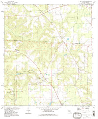 Download a high-resolution, GPS-compatible USGS topo map for Mt Pleasant, FL (1998 edition)