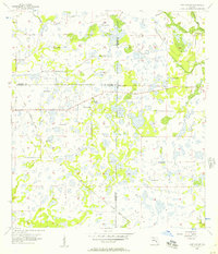 preview thumbnail of historical topo map of DeSoto County, FL in 1956
