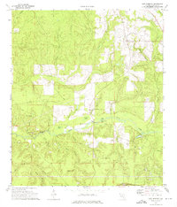 preview thumbnail of historical topo map of Walton County, FL in 1973